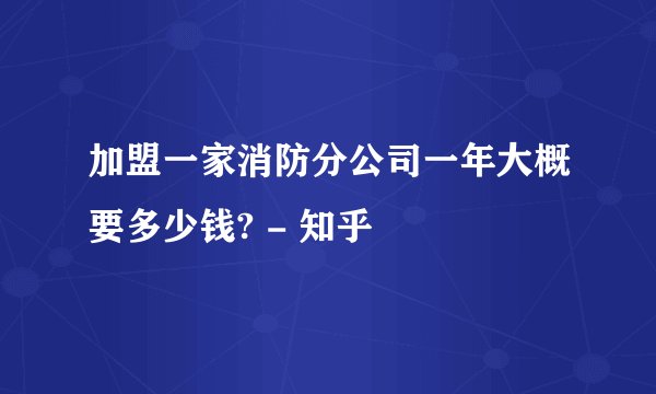 加盟一家消防分公司一年大概要多少钱? - 知乎