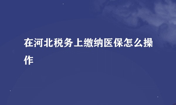 在河北税务上缴纳医保怎么操作