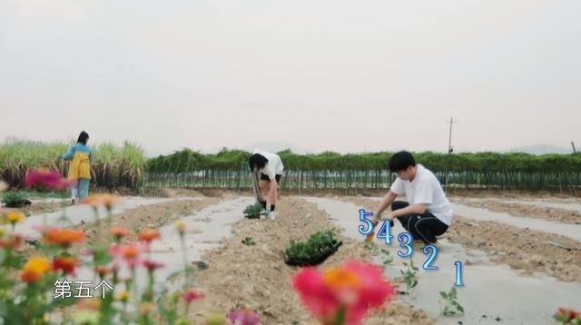 “下午夸完,晚上打脸”,直男彭昱畅为何能找到女朋友?