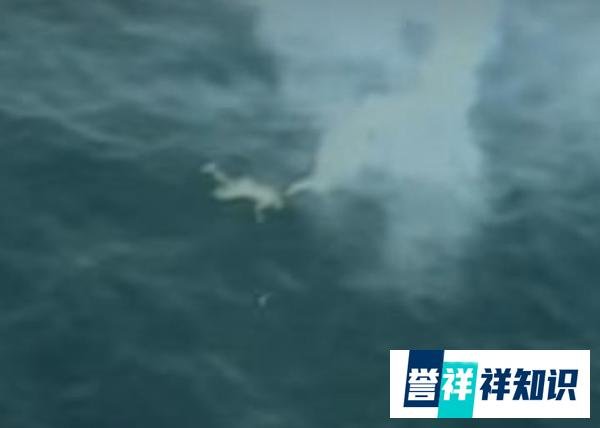 世界著名空难（二）：伊朗655号航班空难——一架被美军击落的民航客机