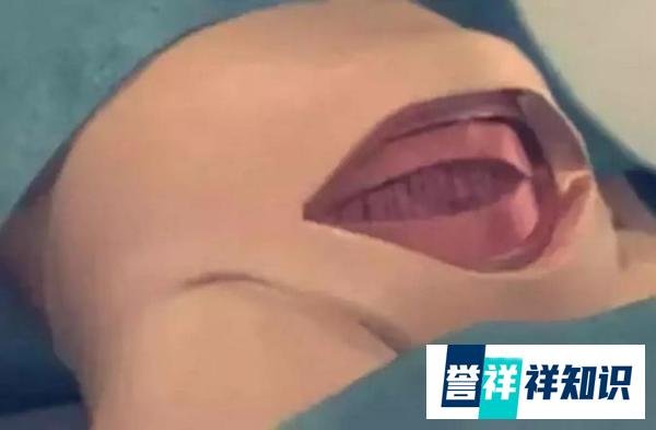 应采儿直播生产过程，看完你就知道该选顺产还是剖腹产...