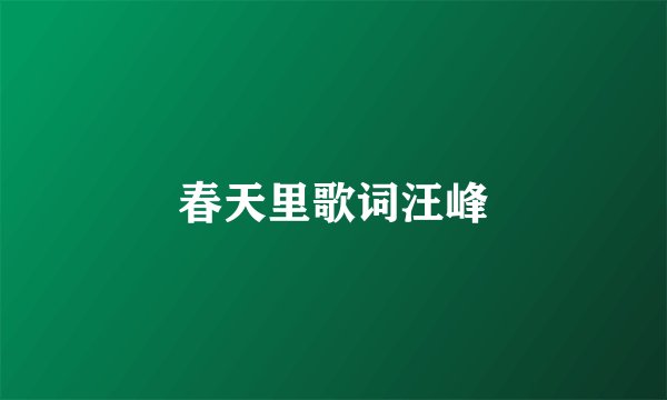 春天里歌词汪峰