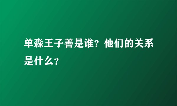 单淼王子善是谁？他们的关系是什么？