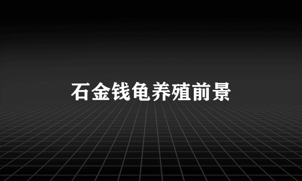 石金钱龟养殖前景