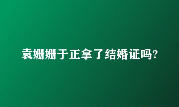 袁姗姗于正拿了结婚证吗?