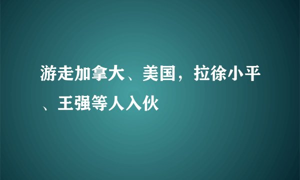 游走加拿大、美国，拉徐小平、王强等人入伙