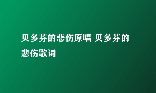 贝多芬的悲伤原唱 贝多芬的悲伤歌词