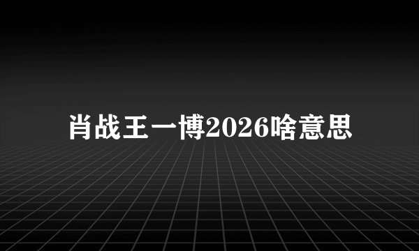 肖战王一博2026啥意思