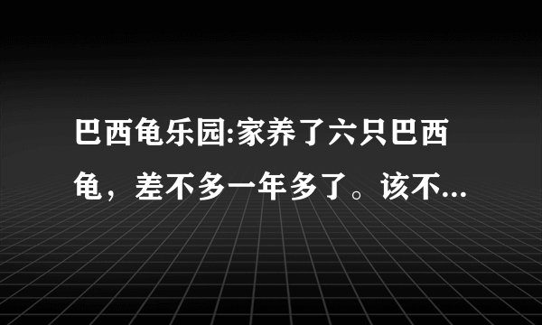 巴西龟乐园:家养了六只巴西龟，差不多一年多了。该不该放生呢？