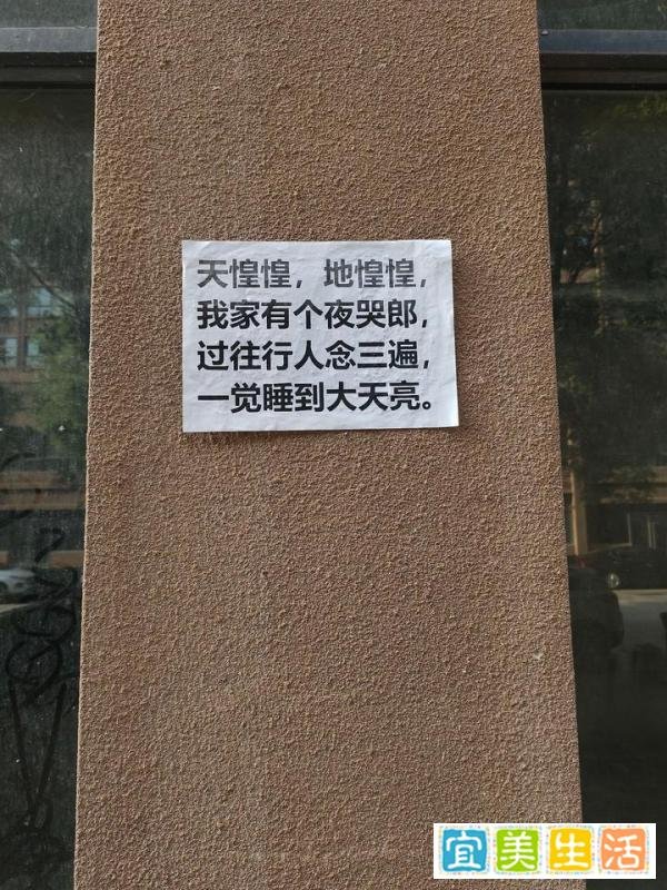 天惶惶地惶惶，我家有个夜哭郎