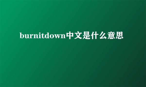 burnitdown中文是什么意思