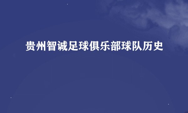 贵州智诚足球俱乐部球队历史