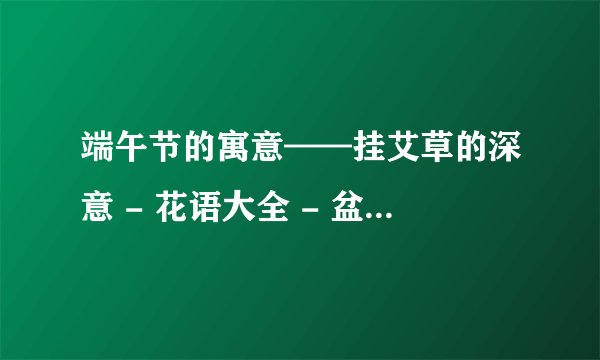 端午节的寓意——挂艾草的深意 - 花语大全 - 盆栽百科网