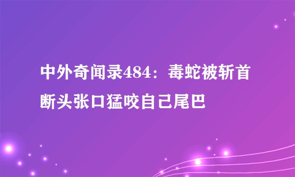 中外奇闻录484：毒蛇被斩首 断头张口猛咬自己尾巴