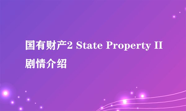 国有财产2 State Property II剧情介绍