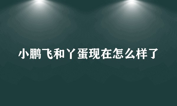 小鹏飞和丫蛋现在怎么样了