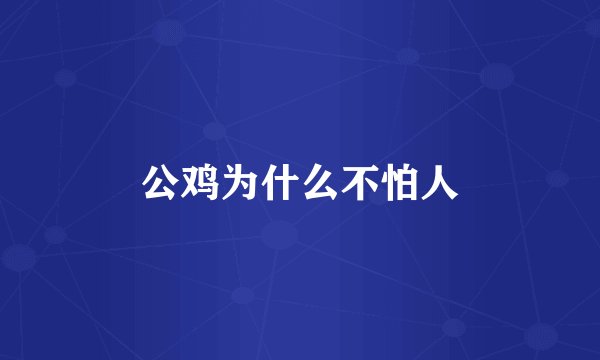 公鸡为什么不怕人