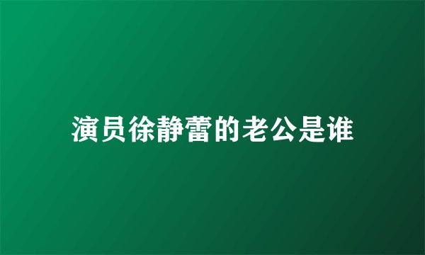 演员徐静蕾的老公是谁