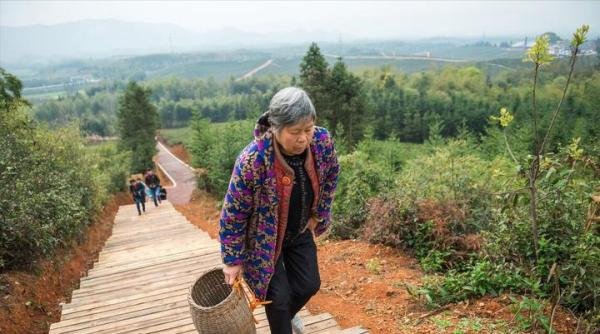 2022年，养老金将在6月进行上调，8类人多涨钱但不包括这3类人