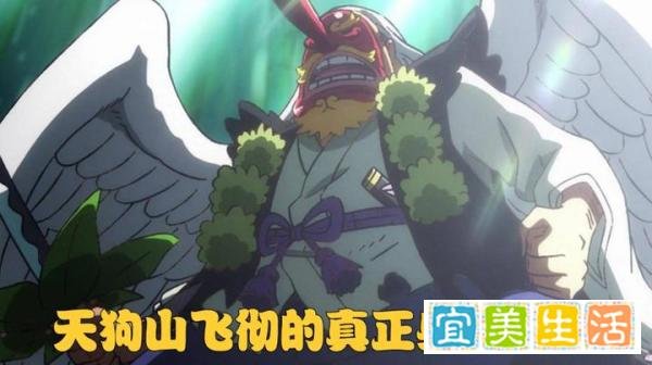 海贼王光月御田的父亲居然还活着！他就是天狗山飞彻