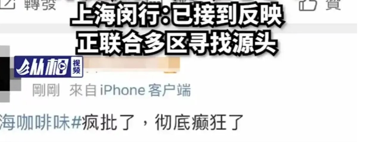 上海多地飘来“咖啡味”引发热议,官方对此作何回应?