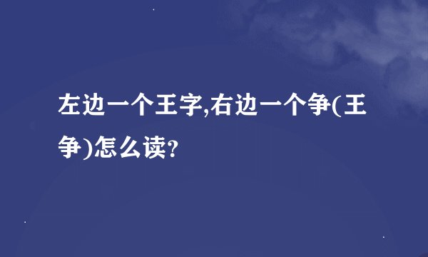 左边一个王字,右边一个争(王争)怎么读？