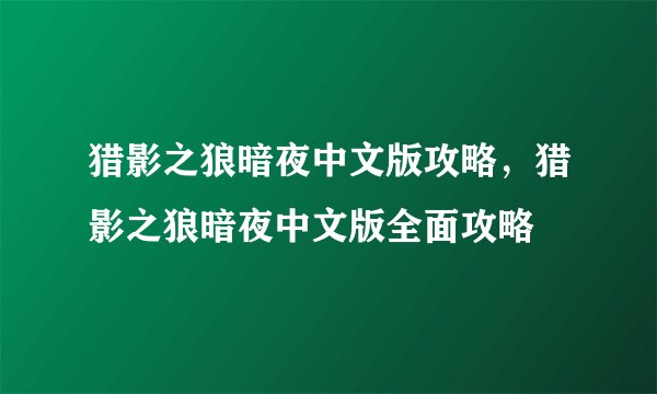 猎影之狼暗夜中文版攻略，猎影之狼暗夜中文版全面攻略