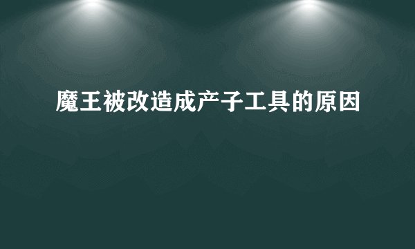 魔王被改造成产子工具的原因