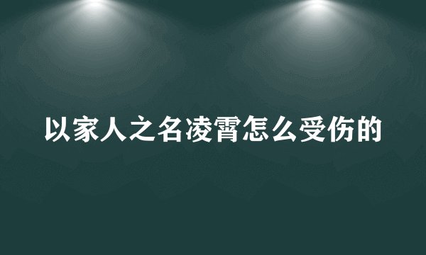 以家人之名凌霄怎么受伤的
