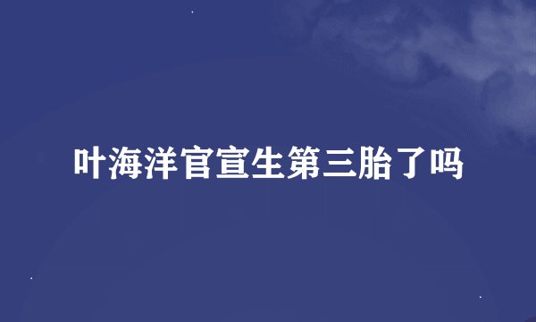 叶海洋官宣生第三胎了吗