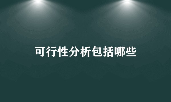 可行性分析包括哪些