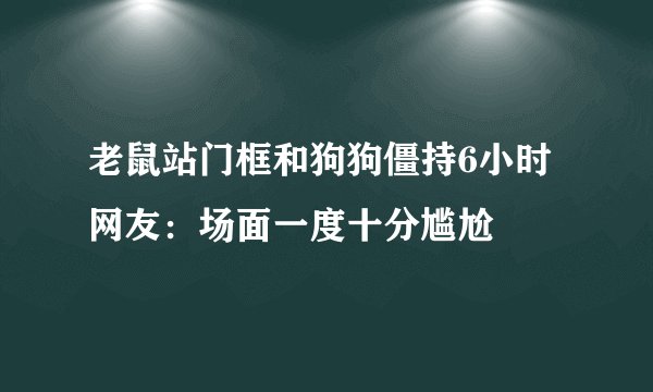 老鼠站门框和狗狗僵持6小时 网友:场面一度十分尴尬