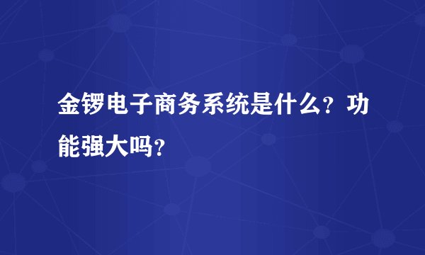 金锣电子商务系统是什么？功能强大吗？