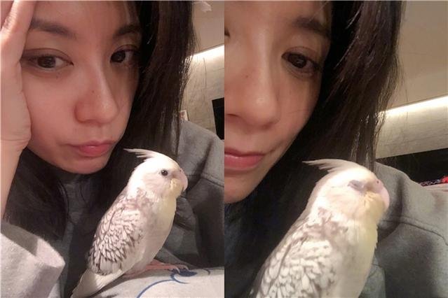 贾静雯生病咳嗽称心慌，为什么突然发文感慨世间人情冷漠？
