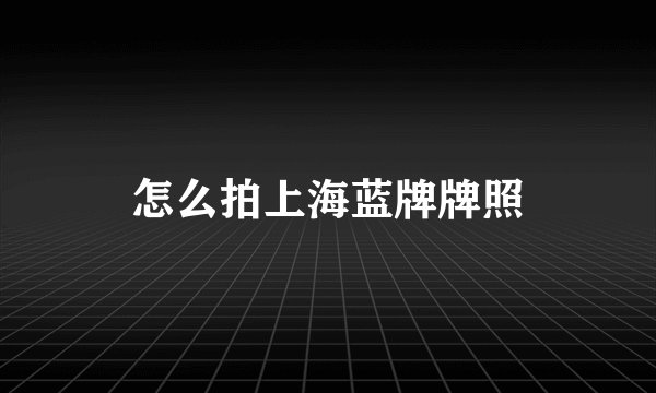 怎么拍上海蓝牌牌照