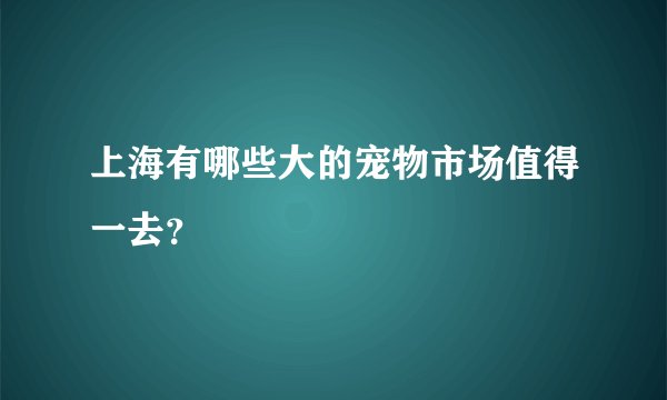 上海有哪些大的宠物市场值得一去？