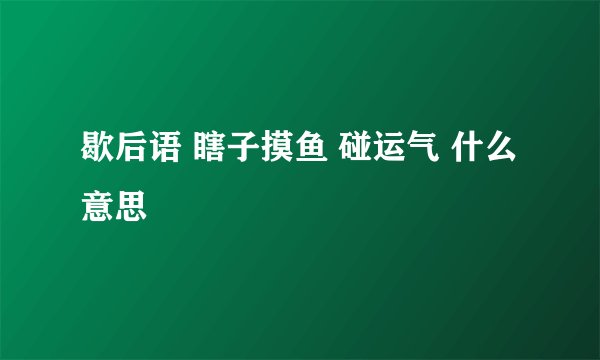 歇后语 瞎子摸鱼 碰运气 什么意思