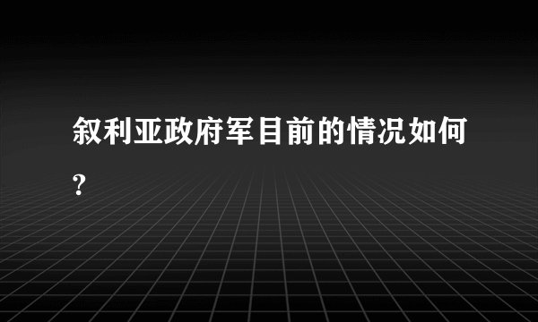 叙利亚政府军目前的情况如何?