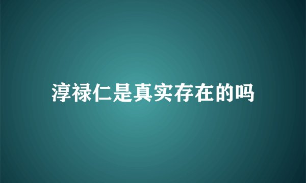 淳禄仁是真实存在的吗