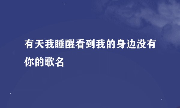 有天我睡醒看到我的身边没有你的歌名