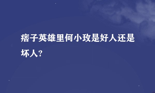 痞子英雄里何小玫是好人还是坏人?