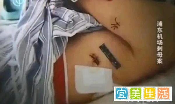 上海妈妈去机场接儿子回国，谁知竟被儿子连捅9刀！差些天人永隔？真相令人冷汗直流