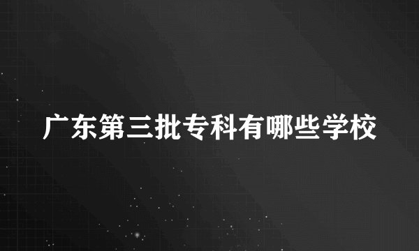 广东第三批专科有哪些学校
