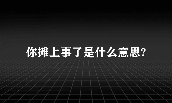 你摊上事了是什么意思?