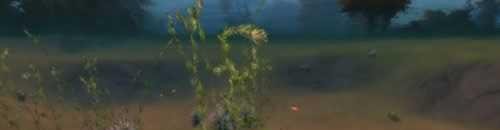 怎样完成《神魔大陆》任务：特别篇礼物