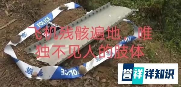 东航MU5735航班坠毁，竟然没有发现客机内所有的人员，哪怕是……