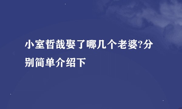 小室哲哉娶了哪几个老婆?分别简单介绍下