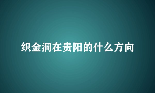 织金洞在贵阳的什么方向