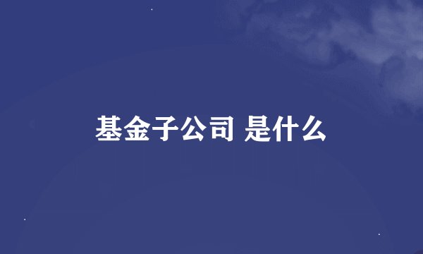 基金子公司 是什么