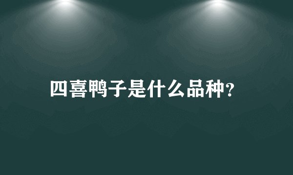 四喜鸭子是什么品种？